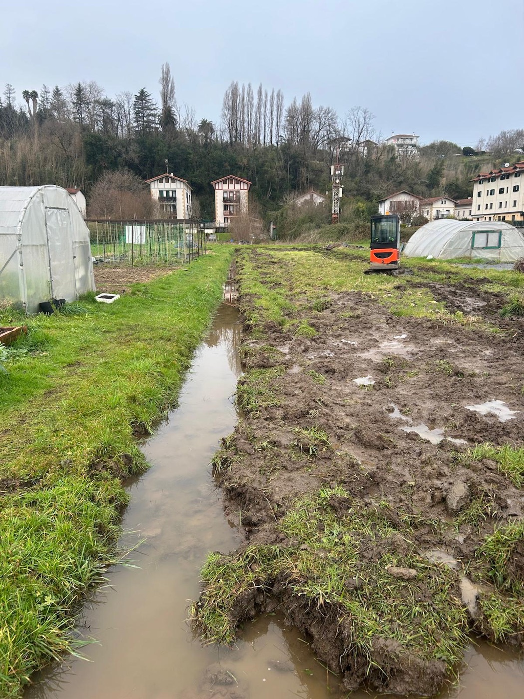 Zanja con agua en zona de huerta